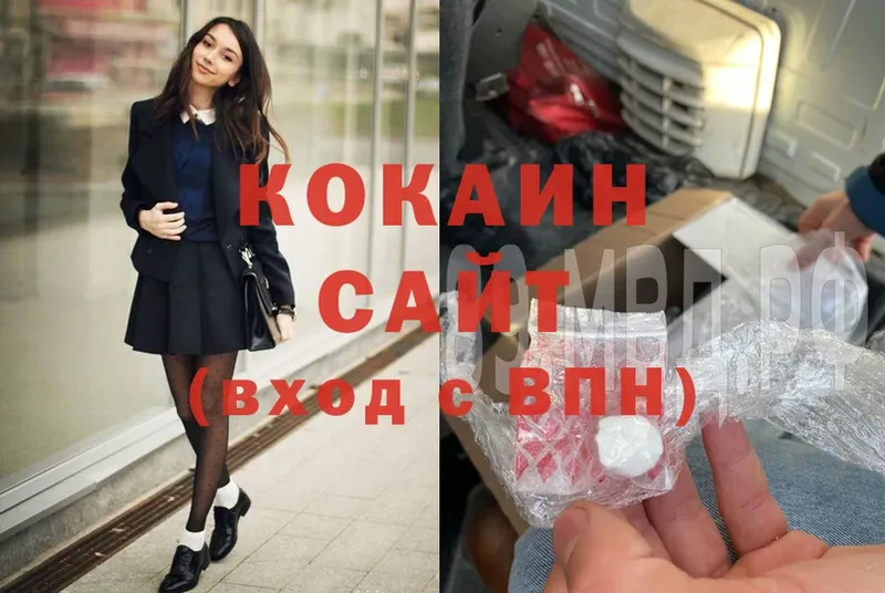 darknet как зайти  Слюдянка  Cocaine FishScale 