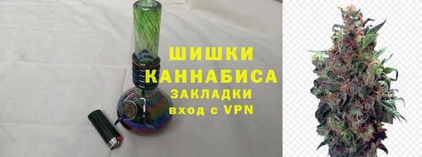 индика Богданович