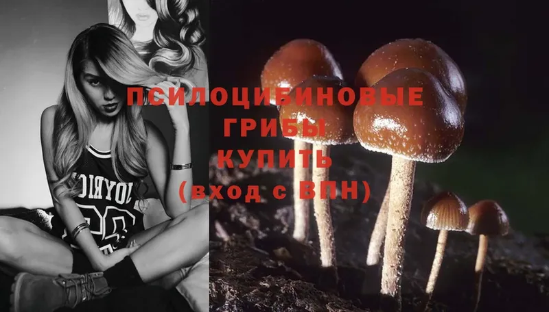 Псилоцибиновые грибы Magic Shrooms  закладка  Слюдянка 